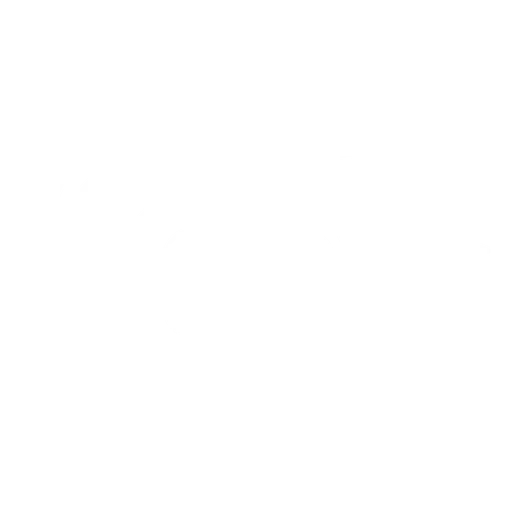 Ace