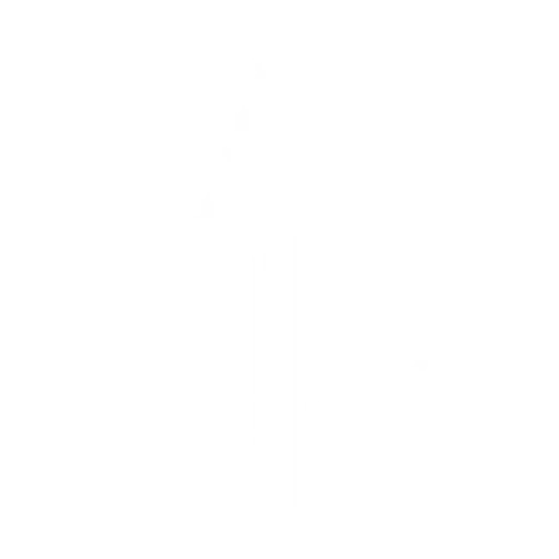 Capitão