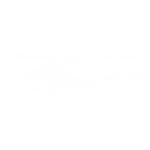 Deimos