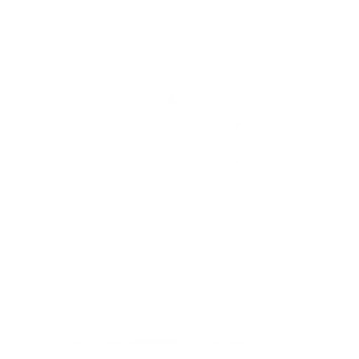 Rook