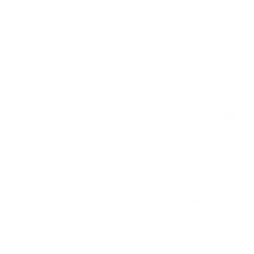 Tubarão