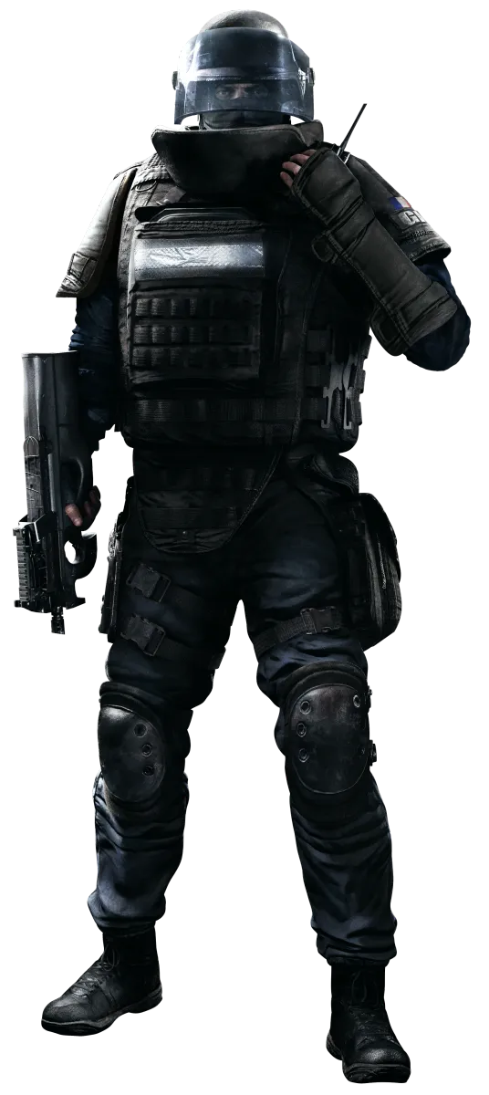 Rook