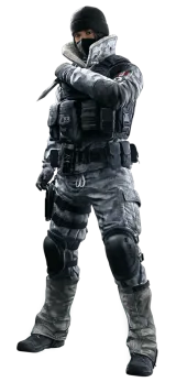 Frost