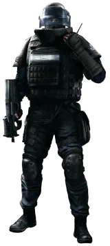 Rook